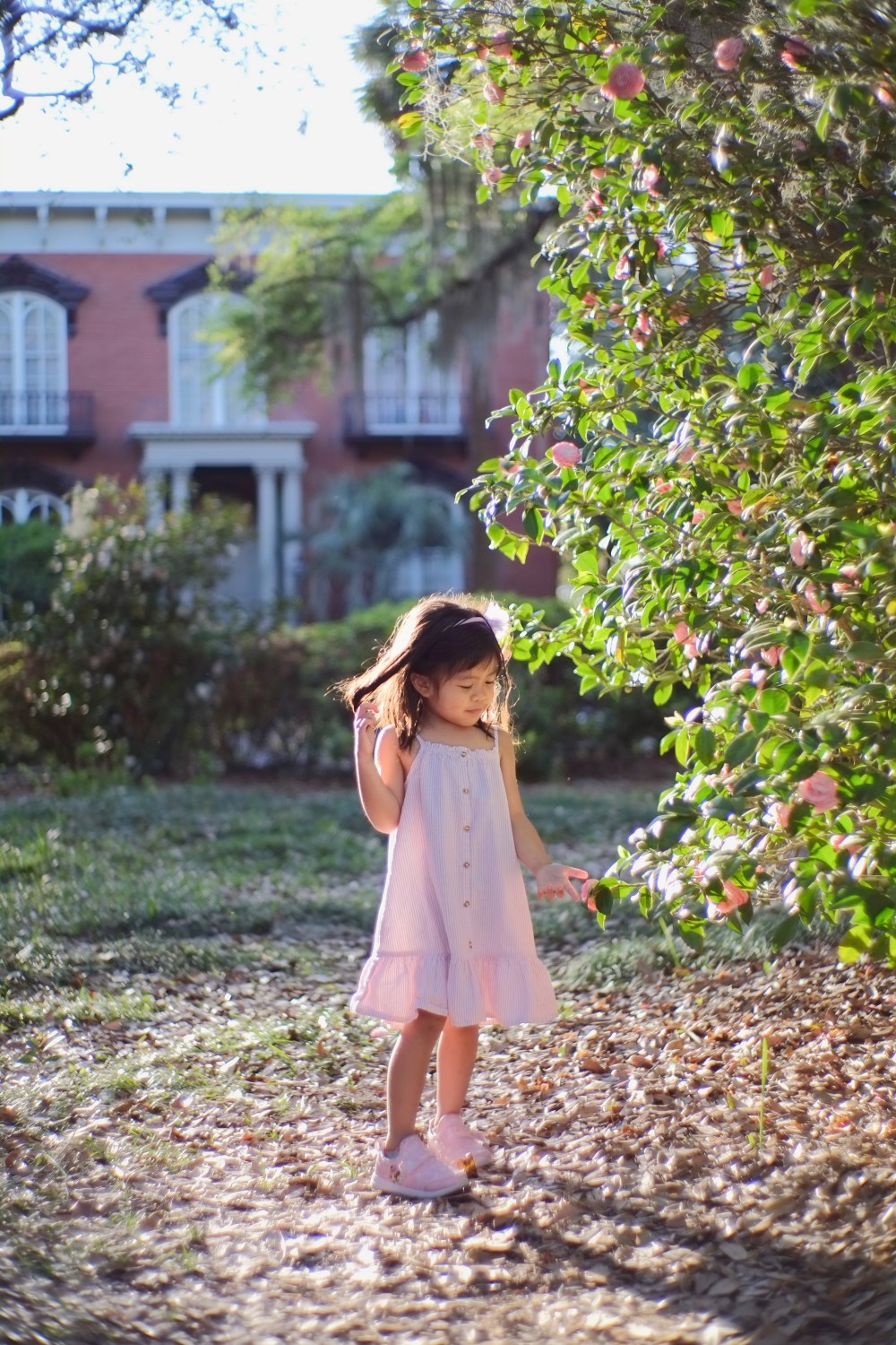 The southern welcome fragrance