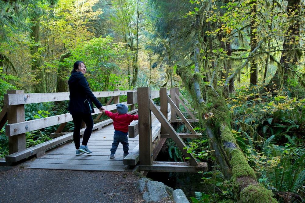 Enter the enchanting; A road trip to the Pacific Northwest with a toddler
