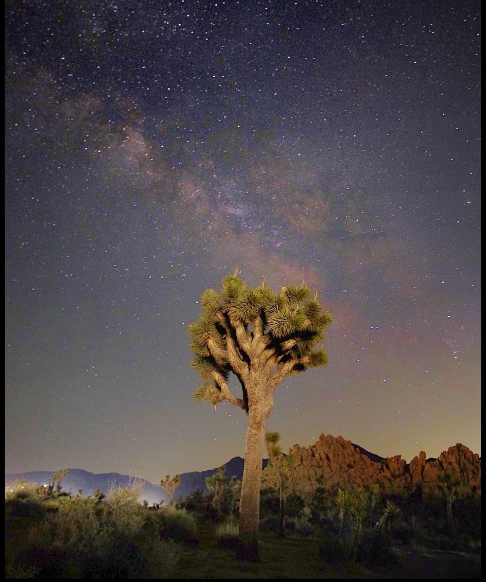 The million star accommodation in Joshua tree National Park